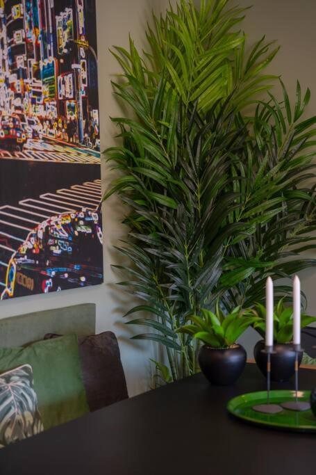 Apartamento Super Anadia - Olive Funchal  Exterior foto